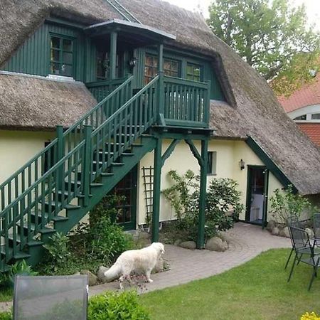Schilfdachvilla Zeesboothaus We308 Kleinhagen 外观 照片
